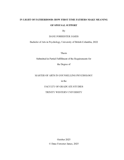 IN LIGHT OF FATHERHOOD: HOW FIRST-TIME FATHERS MAKE MEANING OF SPOUSAL SUPPORT